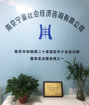 專業服務的助力者 南京寧豪社會經濟咨詢的商業發展價值